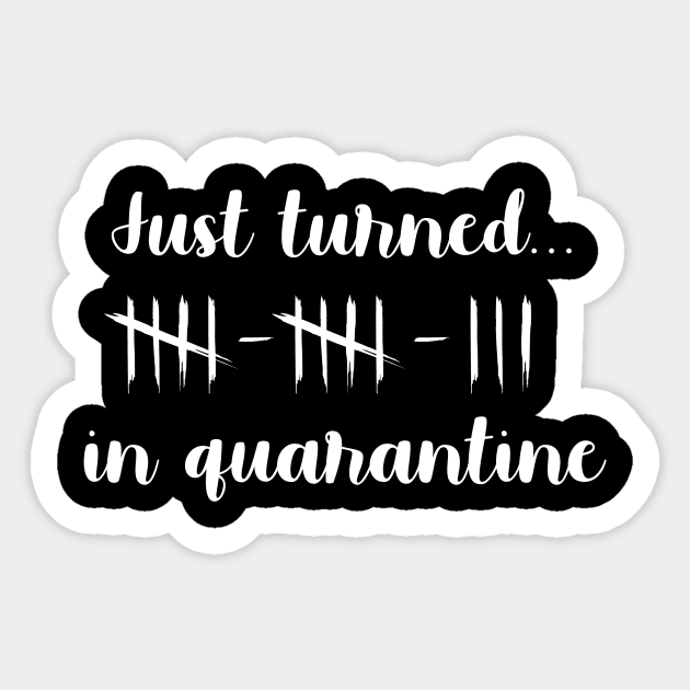 Just Turned 13 In Quarantine Humor Birthday Sticker by MarkdByWord